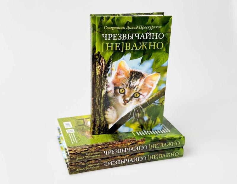 Вышла книга иерея Давида Проскурякова «Чрезвычайно [не]важно: сборник рассказов»
