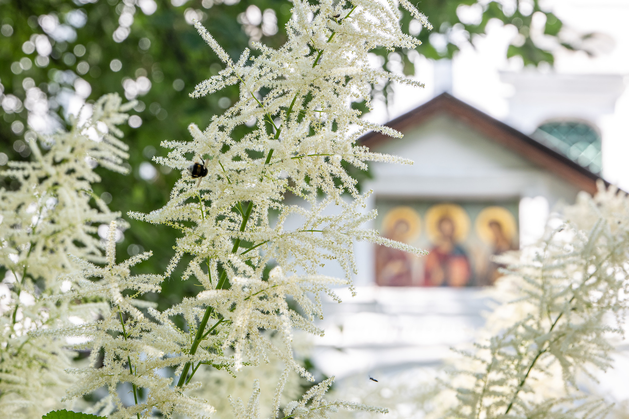 Божественная Литургия. Неделя 4-я по Пасхе, о расслабленном