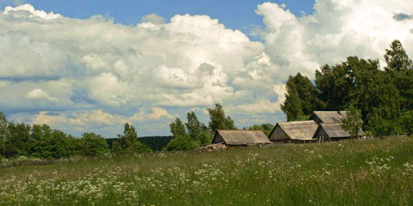 DerBereza.jpg