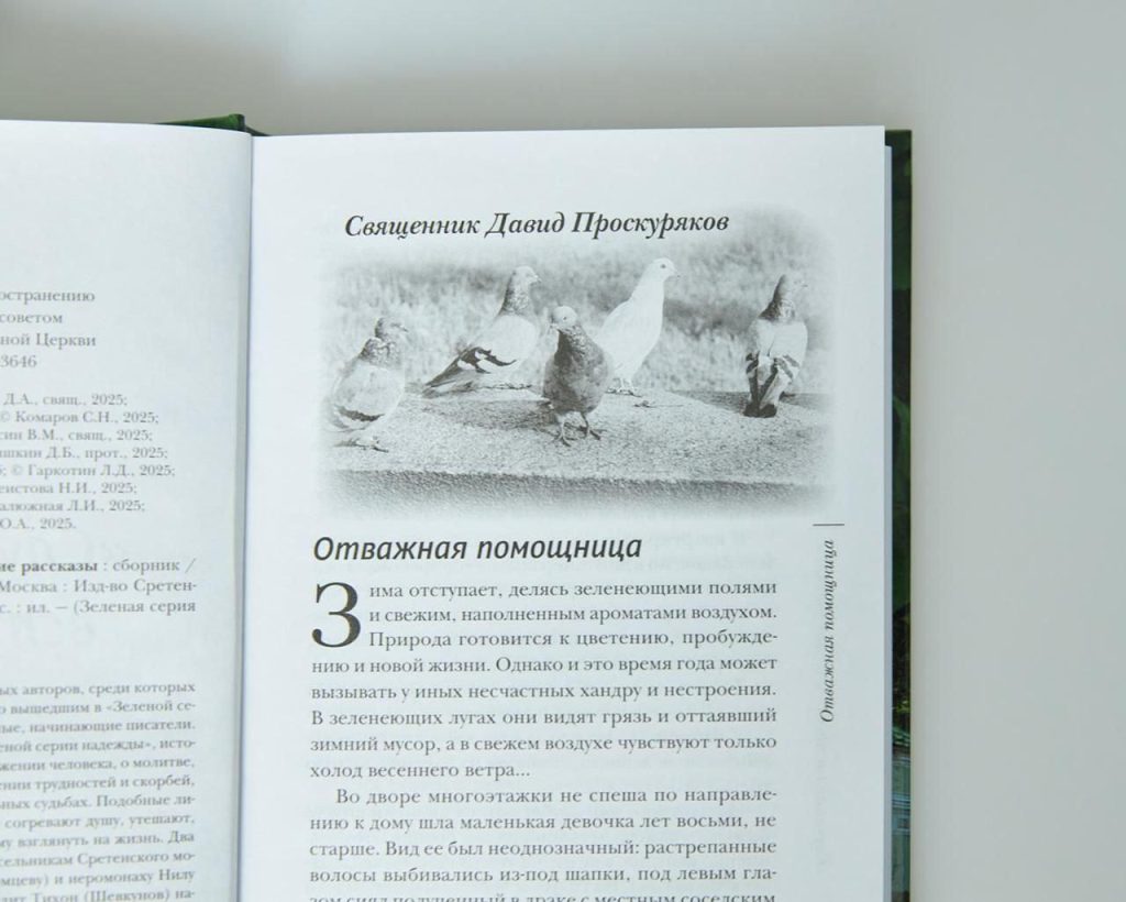 telegram-cloud-photo-size-2-5449816841950793295-y.jpg