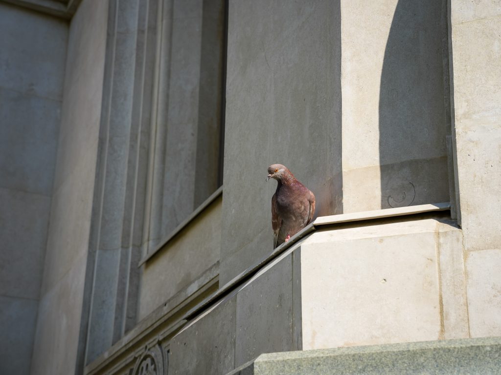 SPR00160.jpg