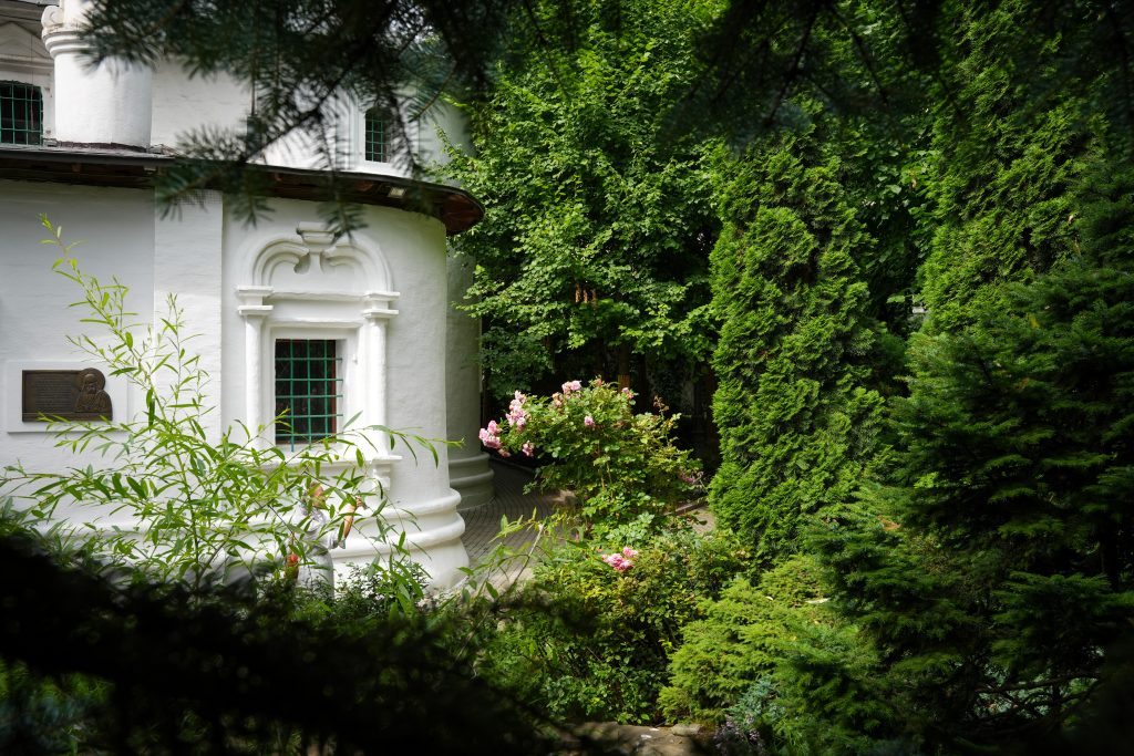 SPR00053.jpg