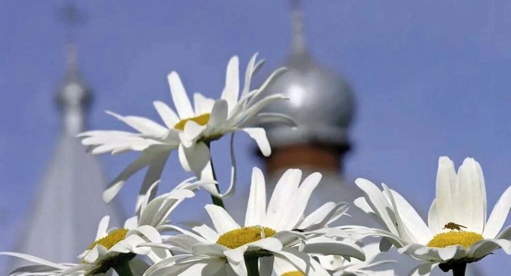 Zarisovka-1075x582.jpg