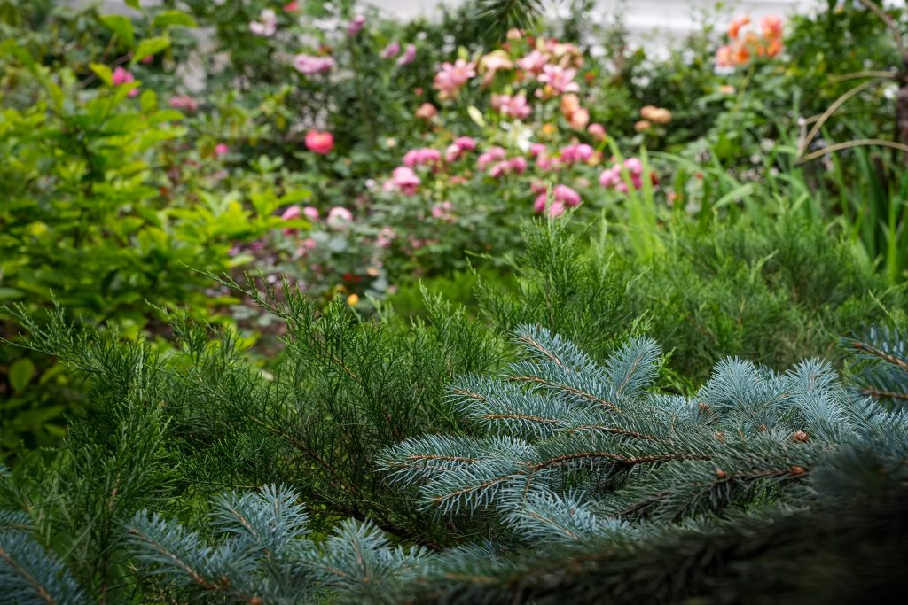 SPR00052.jpg