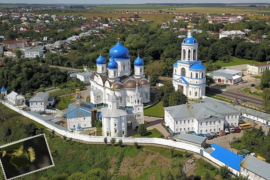 бг4.jpg