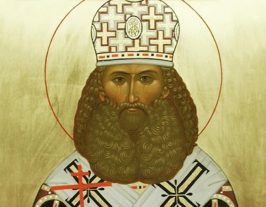 Священномученика
Андроника (Никольского)